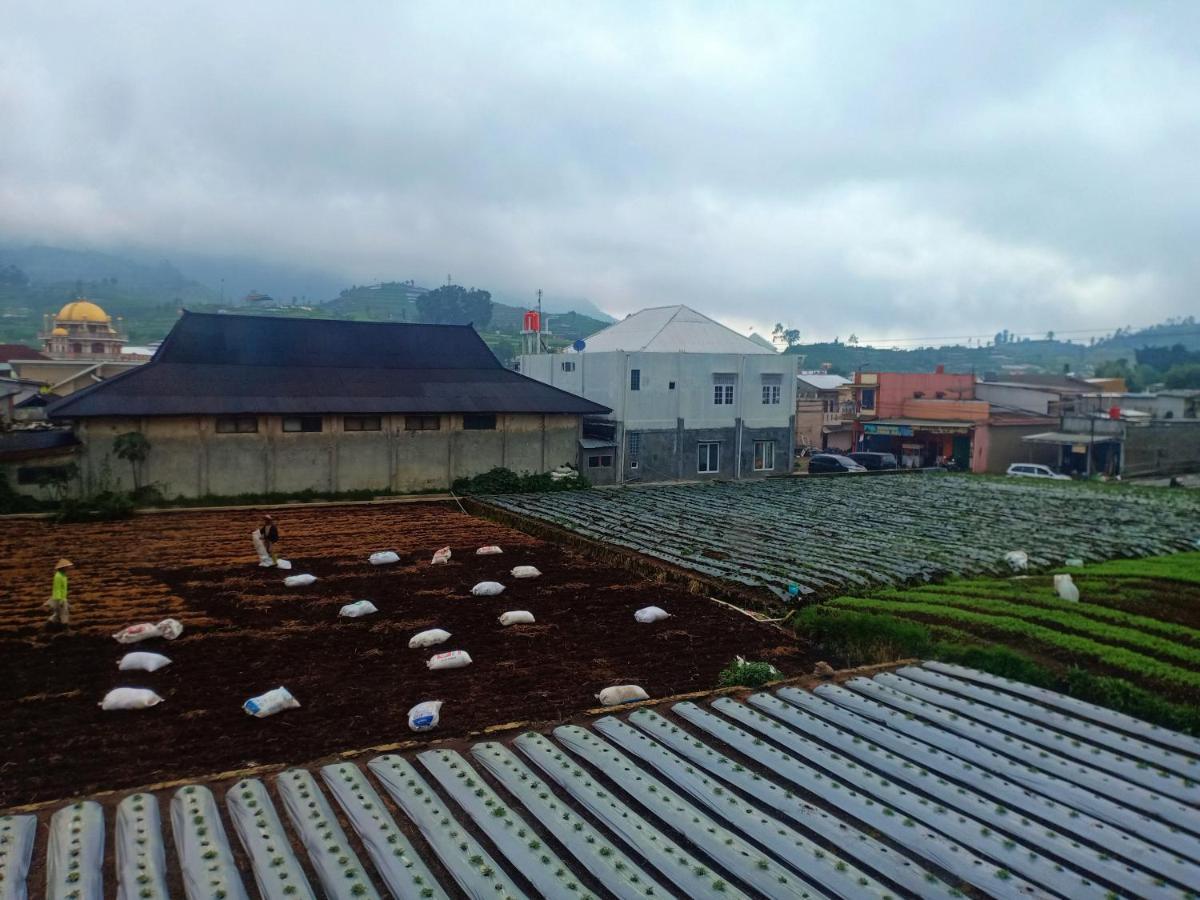 Anemon Dieng Exterior foto